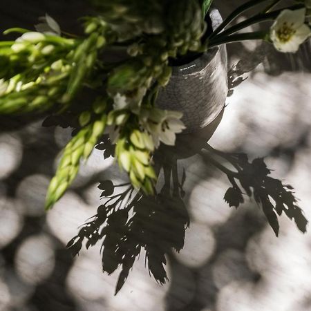 Veller Ben Yehuda Διαμέρισμα Τελ Αβίβ Εξωτερικό φωτογραφία